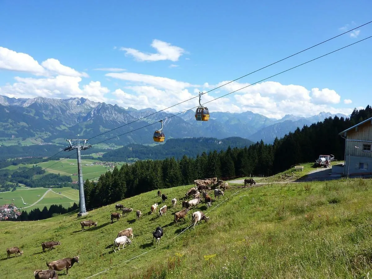 Apartment Ferienwohnungen Alpentraum - Pusteblume Obermaiselstein